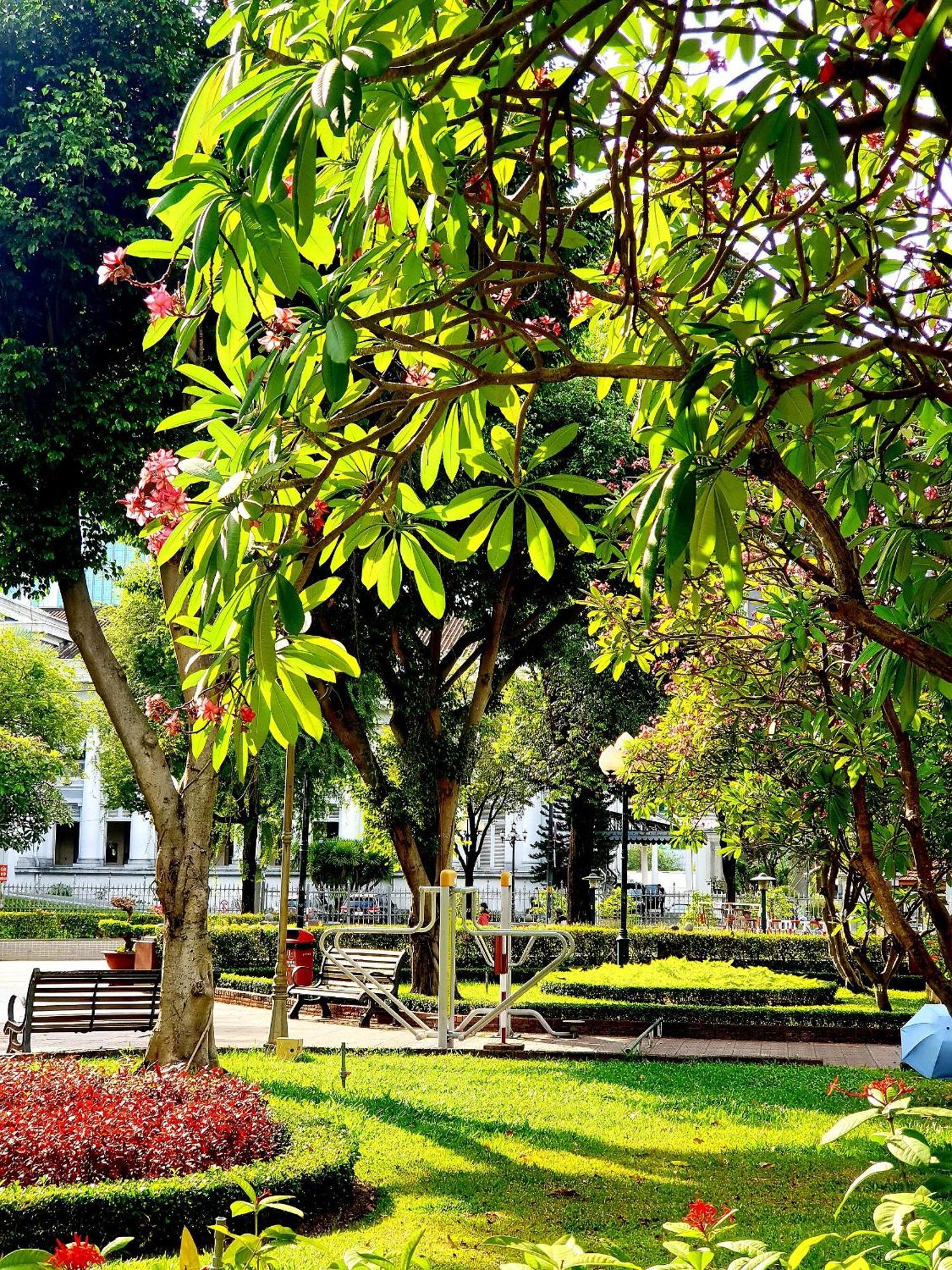 Appart hôtel Ban Cong Luxury Tuyet Dep Trung Tam Q1-gia Uu Dai Hô Chi Minh-Ville